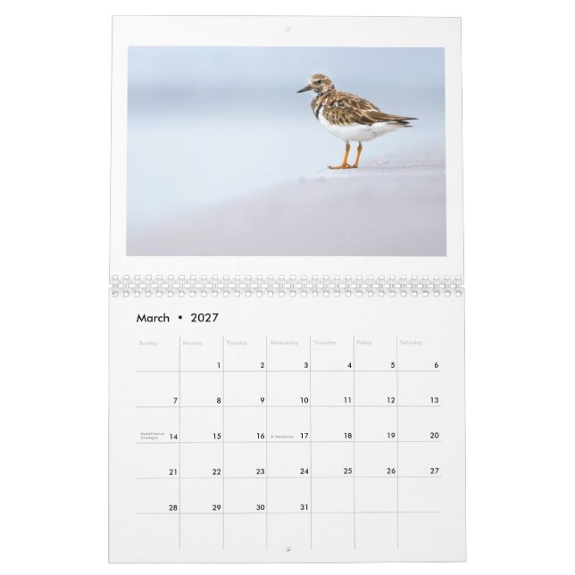 Foto 2025 kalender (Mär 2027)