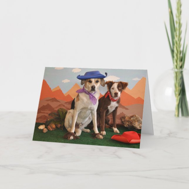 Foto, 2 Westernhunde Karte (Vorderseite)