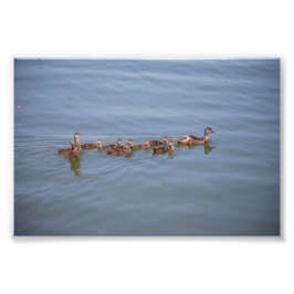 Foto 6x4 Kodak Papier