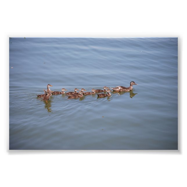 Foto 6x4 Kodak Papier (Vorne)