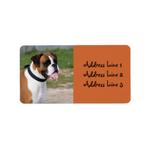 Foto-Adressetikett für Boxer-Dog Adressaufkleber