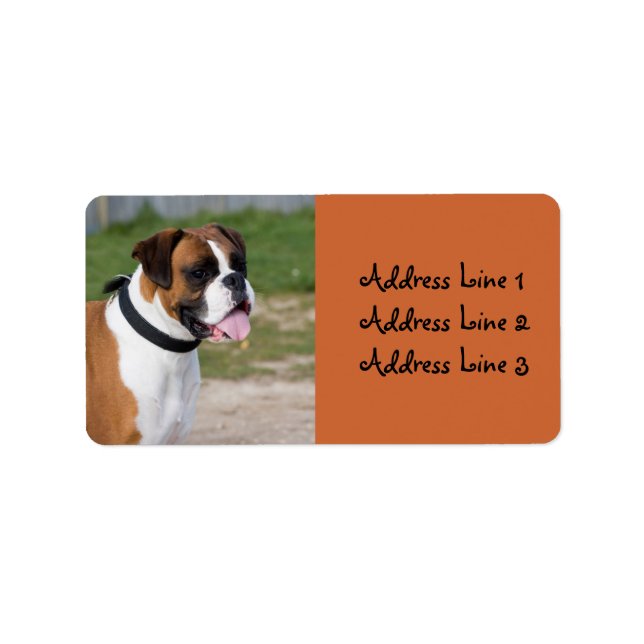 Foto-Adressetikett für Boxer-Dog Adressaufkleber (Vorne)