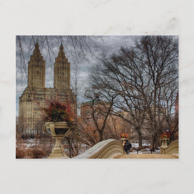 Foto an der Bow Bridge im Central Park, NYC Postkarte (Vorderseite)
