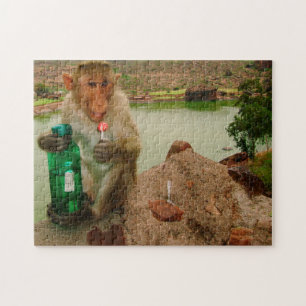 Foto-Anruf-Affe Badami Indien