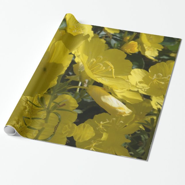 Foto aus gelben Blumen, Packpapier im Sommer (Ungerollt)