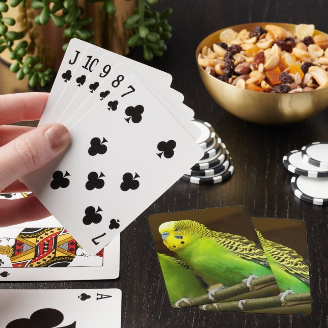 Foto aus grünem und gelbem Paraket Spielkarten (In Situ)