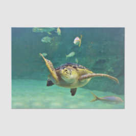 Foto aus Schildkrötenmeer Seidenpapier