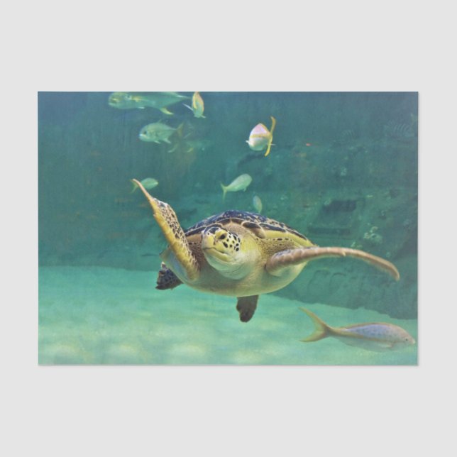 Foto aus Schildkrötenmeer Seidenpapier (Vorderseite)
