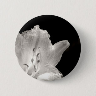 Foto aus Schwarz und Weiß Button