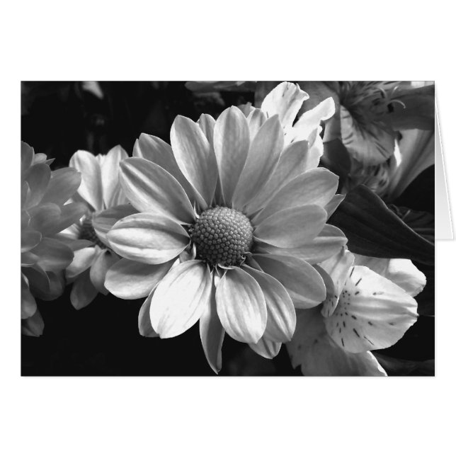 Foto aus schwarzem und weißem Blume (Vorderseite (Horizontal))