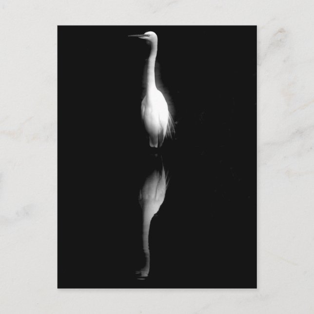 Foto aus schwarzem und weißem Kranich Postkarte (Vorderseite)