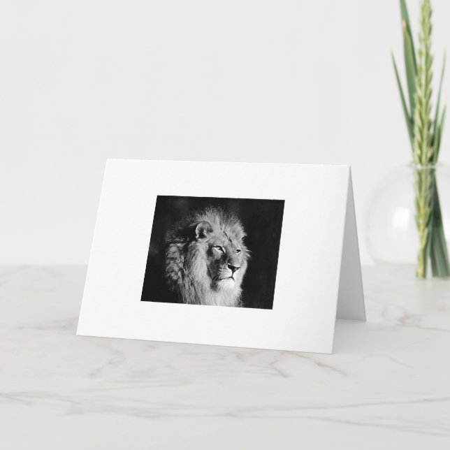 Foto aus schwarzem und weißem Lion Karte (Vorderseite)