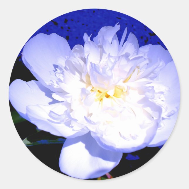 Foto aus weißem und lila Peony Runder Aufkleber (Vorderseite)