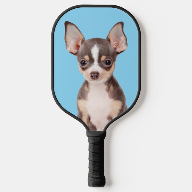 Foto Baby Blue Pickleball Schläger (Vorderseite)