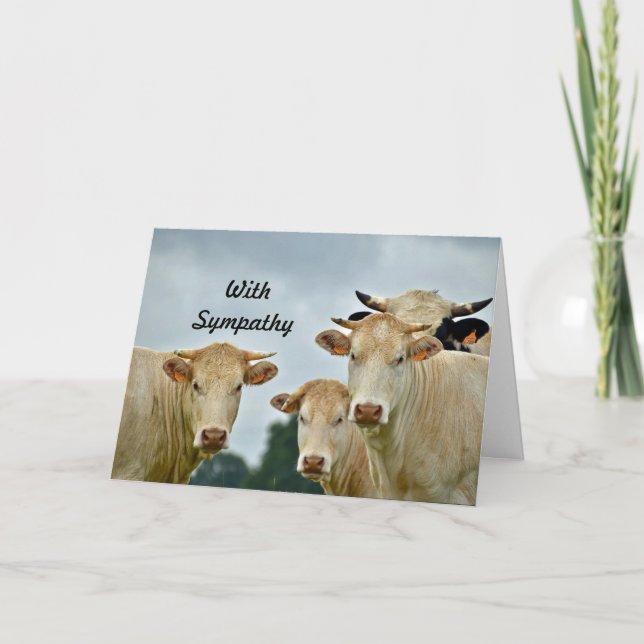 Foto-Beileid von Zuchttieren Karte (Vorderseite)