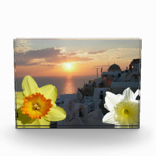 Foto-Block für diätetische Blume Fotoblock
