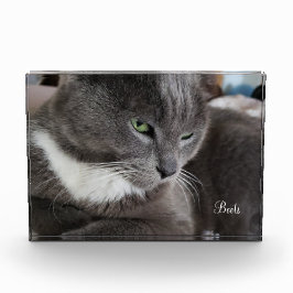 Foto-Block Ihres Tieres Fotoblock