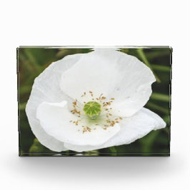 Foto-Block mit Blume Fotoblock