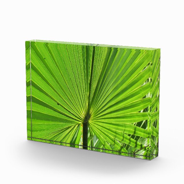 Foto Block - Palm Frontend (Rechts)