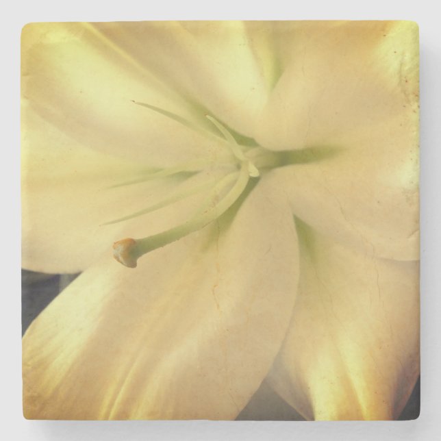 Foto Blume Weißer Lillum Marmorstein Untersetzer (Vorderseite)