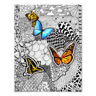 Foto Butterfly Tangle