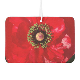 Foto California Red Poppy Blume Autolufterfrischer