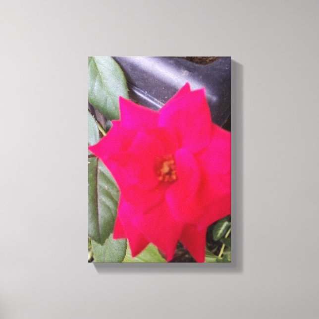 Foto Canvass Art Leinwanddruck (Vorderseite)