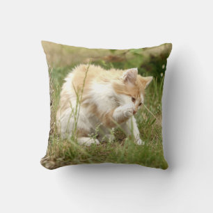 Foto Chat , Katze , Tiere . Kissen werfen