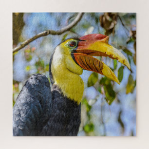 Foto Closeup Wrinkled Hornbill Bird Blätter Platz