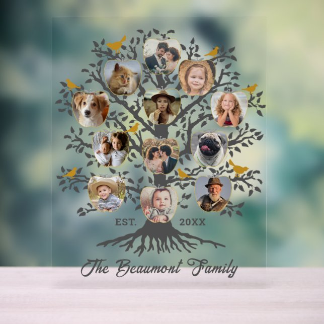 Foto Collage 12 Family Tree Individuelle Name und  Acrylschild (Neutral)