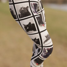 Foto Collage Gerahmte Foto-Leggings für Haustiere