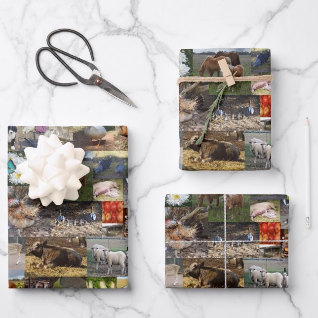Foto-Collage, Geschenkblätter, Geschenkpapier Set (Vorderseite)