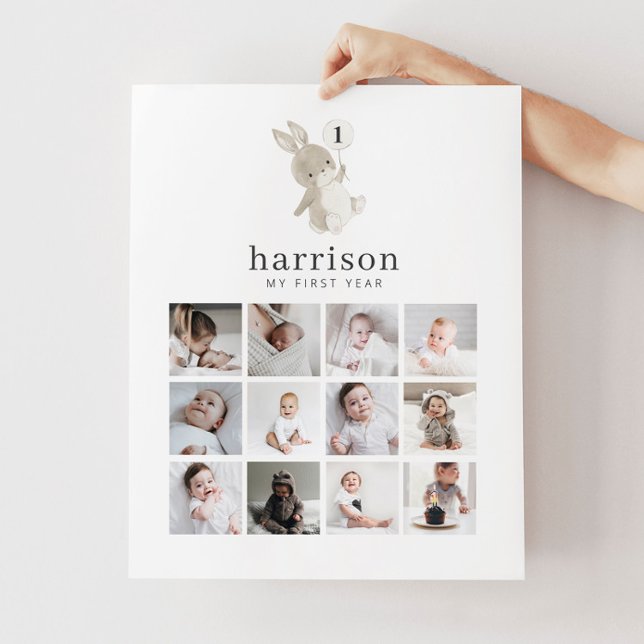 Foto Collage Poster - Bunny Balloon (Von Creator hochgeladen)