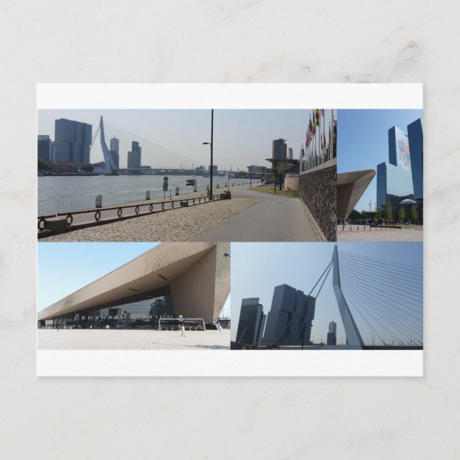 Foto Collage Rotterdam 4 Postkarte (Vorderseite)