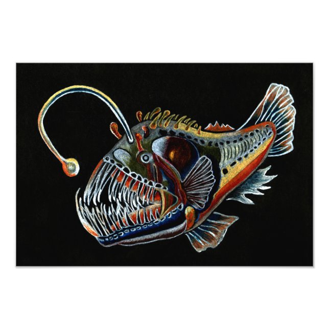 Foto "Deep Sea Angler Fish" (Vorne)