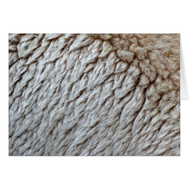 Foto der Abstrakten Natur aus Schafwolle (Vorderseite (Horizontal))