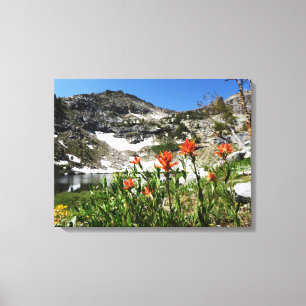 Foto der bildenden Künste, Berge Wildblumen- und S Leinwanddruck