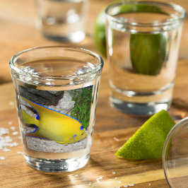 Foto der Gelben und Blauen Königin Angelfish Schnapsglas