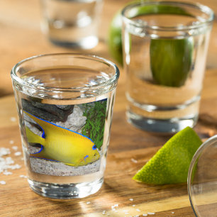 Foto der Gelben und Blauen Königin Angelfish Schnapsglas