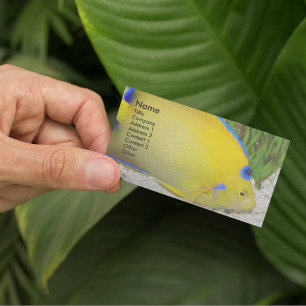 Foto der Gelben und Blauen Königin Angelfish Visitenkarte