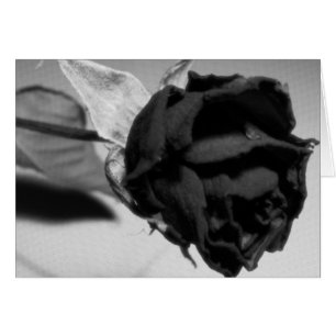 Foto der getrockneten Rose - Schwarzweiß