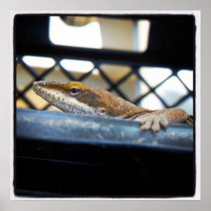 Foto der Grünen Anole Lizard Poster