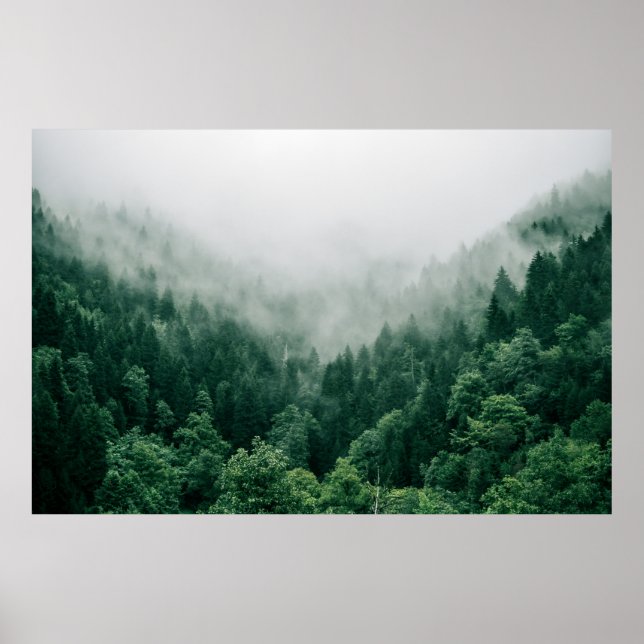 Foto DER GRÜNEN BÄUME Poster (Vorne)