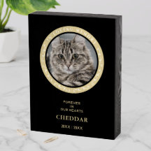 Foto der Katze Ornamentieren Liebe eins