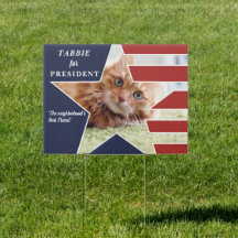 Foto der Katze Präsidentschaftswahl 2024 Kandidat