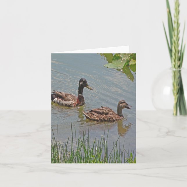 Foto der Mallard Enten Faltkarte (Vorderseite)