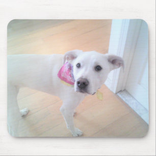 Foto der Niedlichen Sweet White Puppy Face Mousepad
