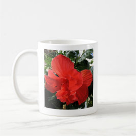 Foto der Orange Double Hibiskus Blume Bible Verse Kaffeetasse
