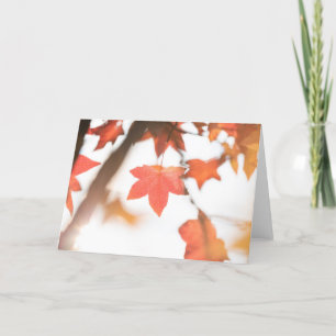 Foto der Roten Herbstleaf Karte