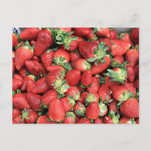 Foto der Roten Juicy Erdbeeren Postkarte (Vorderseite)